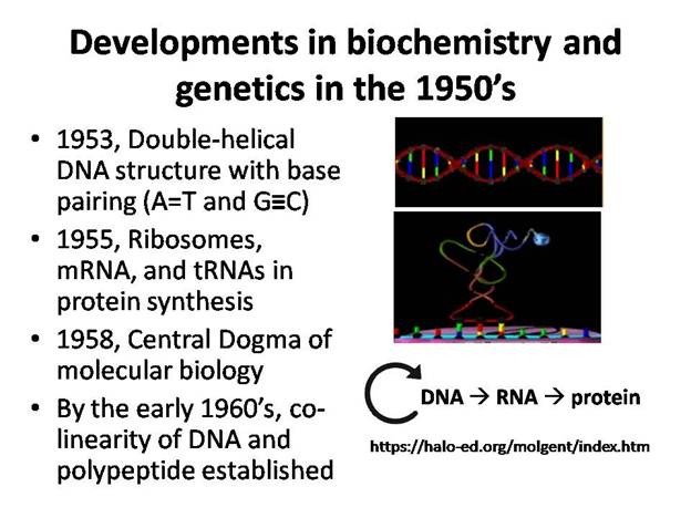 Slide24.JPG