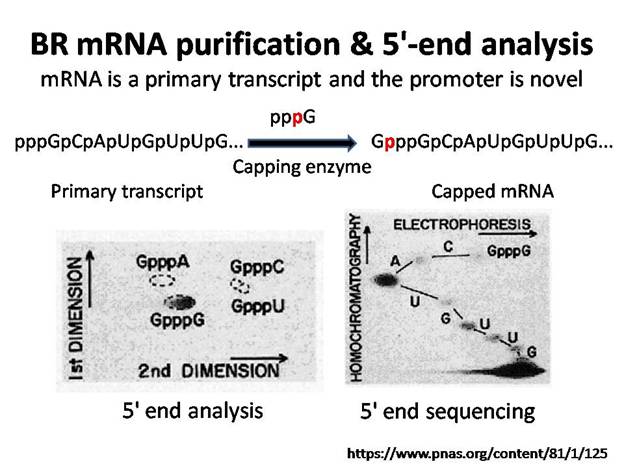 Slide37.JPG